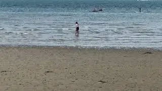Hill Head Beach