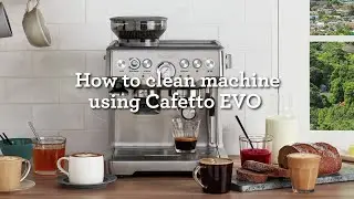 How Clean Machine Using Cafetto EVO | Breville Barista Express | Breville PH
