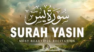 Surah Yaseen سورة يس | Soul Soothing Quran Recitation for Deep Sleep & Healing | Quran for Sleep