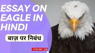 बाज़ पर निबंध &ndash; Essay on Eagle in Hindi