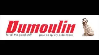 Pub Qu&eacute;bec Radio FM - Chanson Qualinet (2020)