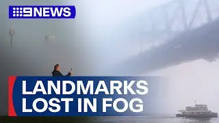Early morning fog blankets over Sydney | 9 News Australia