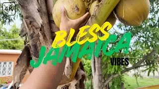 4K Jamaica Drive: Kingston to Spanish Town + Fresh Coconut Water | Visiting Family in Jamaica