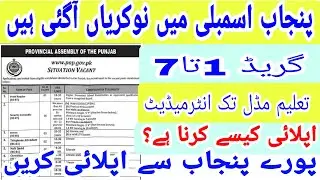 Punjab Assembly Jobs 2024 How To Apply Complete details Apply All Over Punjab Pakistan