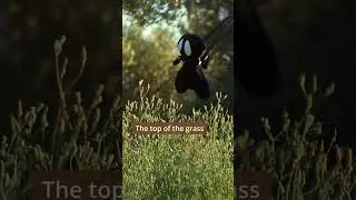Showing our taleoid things he's never seen before