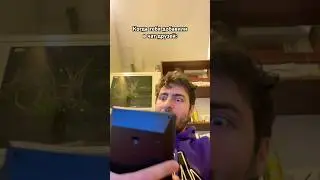 Когда добавили в чат друзей #funny #memes #subscribe #подпишись #армен #юмор #comedy #арменеремян
