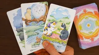 💌 CO TA OSOBA CHCE CI WYZNAĆ? Przygotuj się na... #tarot #wróżby