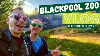 Blackpool Zoo Vlog 2022