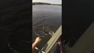 How to Catch More Fish with a Hook! 🎣 River Fishing Tips You Need 🌊🐟