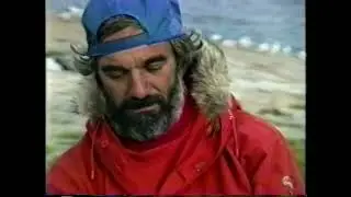 The Birds of Funk Island