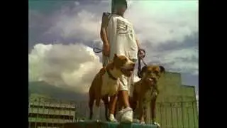 Stratgia - Mix Kreyente