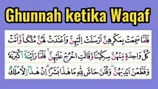 Latihan Tartil Quran dengan Pembahasan Tajwid Surat Yusuf 31 agar Fasih Baca Quran