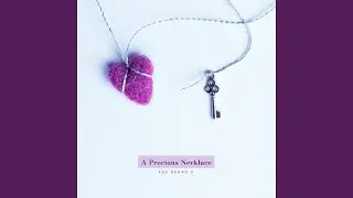 A precious necklace
