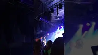 Lay low - roxie węgiel