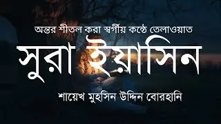 Surah Yasin সুরা ইয়াসিন||অন্তর শীতল করা কণ্ঠে সুরা ইয়াসিন|| surah Yaseen||