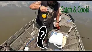 Catch & Cook - Upper Delaware Bay Catfish