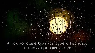 Мухаммад Шариф Эльджаркиев &mdash; Сура Толпы, аяты 71-75