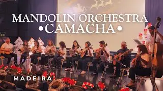Christmas Performance by the Mandolin Orchestra of Camacha 🎶 | Madeira, Portugal