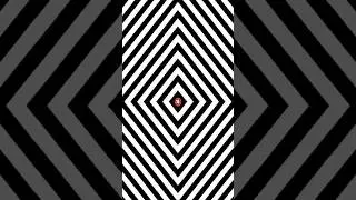 Illusion: The Science Behind the Impossible 🧠🤯