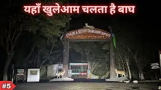 Night Drive Pilibhit Tiger Reserve | Pilibhit Jungle Safari | Wildlife Stories | Chuka Beach Forest