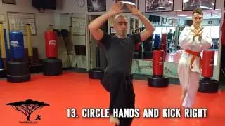 Tai Chi 24