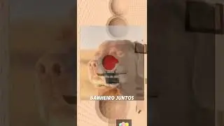 Crian&ccedil;a n&atilde;o era burra...era g&ecirc;nio #roblox #viral#inf&acirc;ncia#rants.