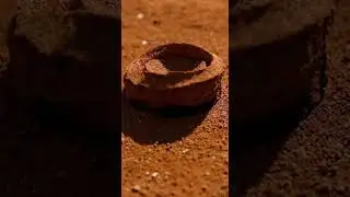 Spider Surprise Discover the Amazing Spider Web Tricks #spiders #nature #wildlife