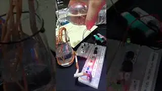 TCTRONC | Water Level Indicator using 2N2222 (NPN) TRANSISTOR
