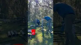 Assembling Our &ldquo;Trees&rdquo;