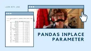 Explaining The Pandas Inplace Parameter for Beginners