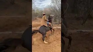 CAVAL&Atilde;O TESTADO NA PEGA DE BOI NO MATO, ESSE &Eacute; LIGEIRO #cavalo #vaqueirama #pegadeboinomato