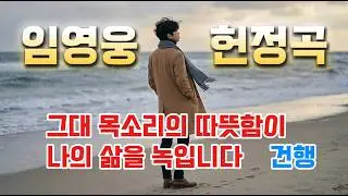 말하지 않아도 전해지는 위로｜임영웅 트로트 헌정곡 〈그대 목소리의 온기〉