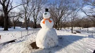 LIVE New York City Snow Walk ☃️ Exploring Midtown Manhattan & Central Park (February 5, 2021)