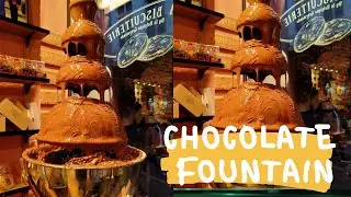 Chocolate fountain | Chocolate shop tour | Belgian chocolate Best in the World