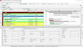 NEGATIVE FLOAT??? HOW TO SOLVE - PRIMAVERA P6