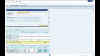 SAP TRIP Request