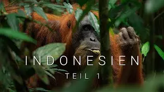 Fünf Wochen in Indonesien - Die ersten Tage