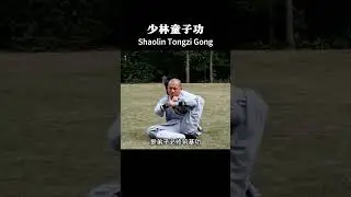 少林童子功 Shaolin Tongzi Gong #wushufight #shaolin