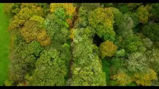 Beautiful Autumn colours of Cornwall in 4k with nice gentle music