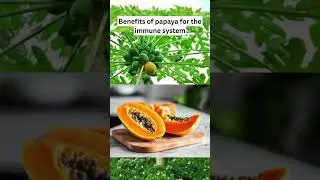 Benefits of papaya for the immune system #immunesystem #shorts