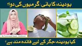 Mint Benefits In Summers &ndash; Especially for Digestion | Kya Podina Waqai Badhazmi Door Karta Hai?