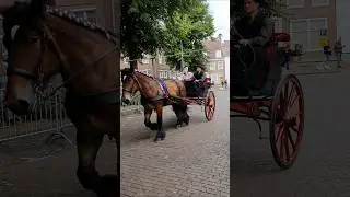 🐴 Ringrijden Sjeesjes Middelburg 🇳🇱  Nederland @TravelwithHugoF  #Ringrijden #horses #middelburg