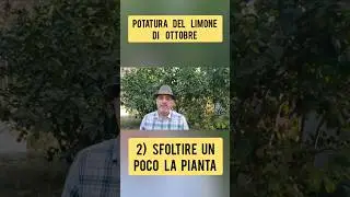 Come Potare il Limone ad Ottobre