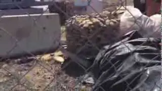 University Mall Video