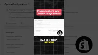 Product Options Shopify App with Variant Image Swatches - NS Color Swatch #productoptions
