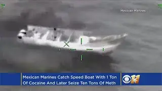 Mexican Marines Seize 1 Ton Of Cocaine And Ten Tons Of Meth