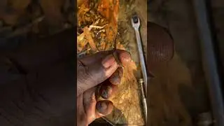 Found the Rod Knock!!$$