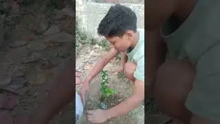 day 6 of planting 10 lakh trees 🌴🎄#saveenvironment
