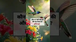 Most important gk questions and answers || general knowledge || gkeducation #gk #facts