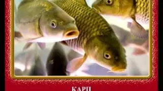 Балықтар